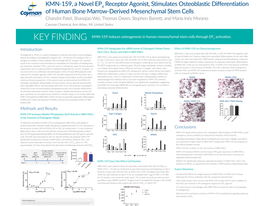 <p>​KMN-159, a Novel EP<sub>4</sub> Receptor Agonist, Stimulates Osteoblastic Differentiation of Human Bone Marrow-Derived Mesenchymal Stem Cells<br></p>